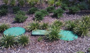 Septic System Design in Spring Hill, Florida