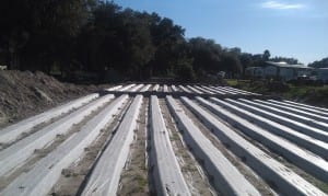 Drain Field Design