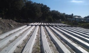 Package Plant Installations in Fort Myers, Florida