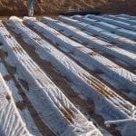 Drain Field Design
